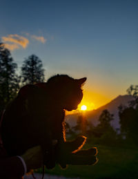 Black cat walks with a man in the mountains at sunset. pet love and care