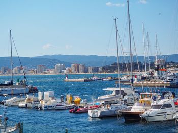 Sailboats moored on harbor by city against sky