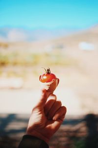 Close-up of woman hand holding sand at beach against sky