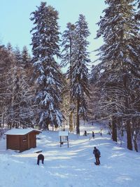 Person standing on snow covered field