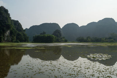 Reflection of trees in lake against clear sky