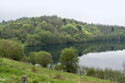 Scenic view of lake by trees against sky