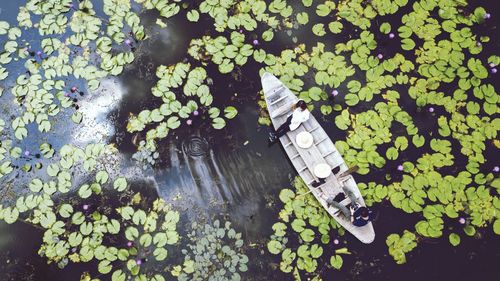 High angle view of people sitting on rowboat in pond with lily pads