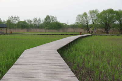 Empty footbridge amidst grassy field