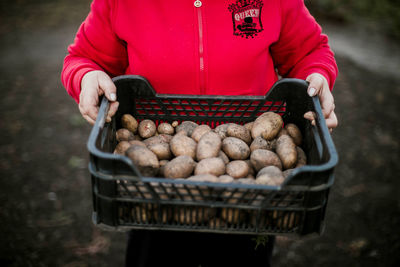 Midsection of woman picking apples in basket