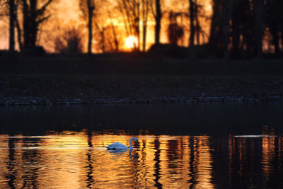 Reflection of trees in lake during sunset