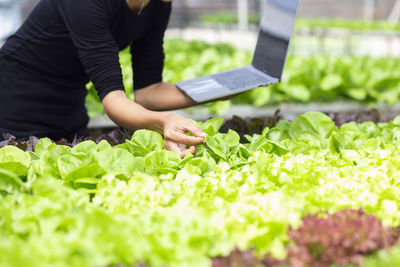 Midsection of man having food in plant