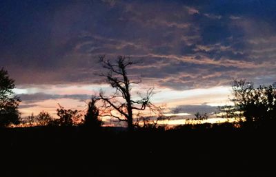 Silhouette trees on landscape against sky during sunset