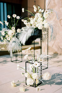 Potted plant on table