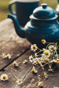 Close-up of flowering plant on table