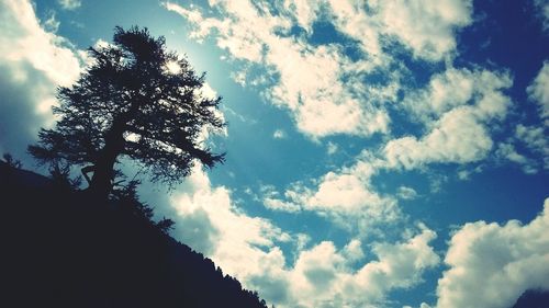 Low angle view of trees against cloudy sky