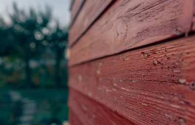 Close-up of wood