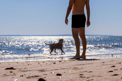 Man and dog on sandy beach playing in sparkling water.