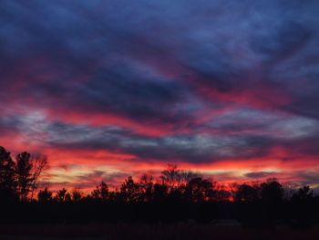 Silhouette of trees at sunset