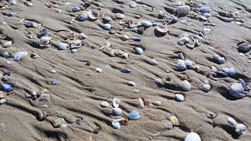 High angle view of pebbles on sand