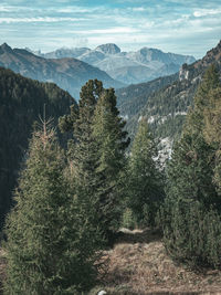 Panoramic view of trees and mountains against sky