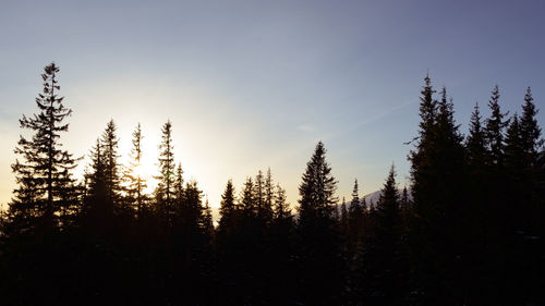 Panoramic view of trees against sky during sunset