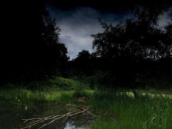 Trees on field against cloudy sky