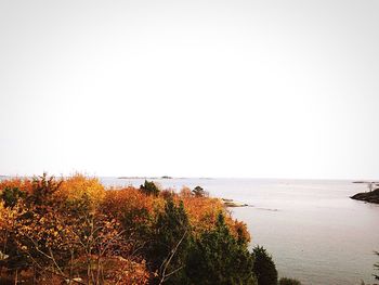 Scenic view of calm sea against clear sky