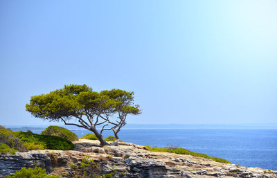 Scenic view of sea against clear blue sky