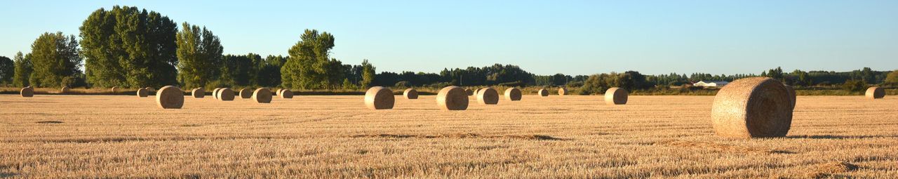 Straw bales