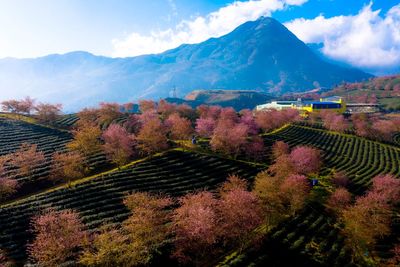 High angle view of trees and mountains against sky