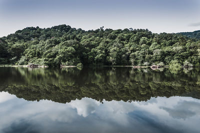 Reflection of trees in lake against sky