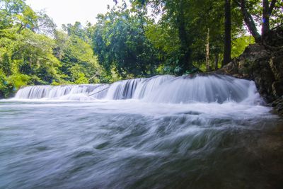 Scenic view of waterfall in forest