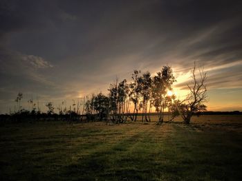 Scenic view of landscape at sunset