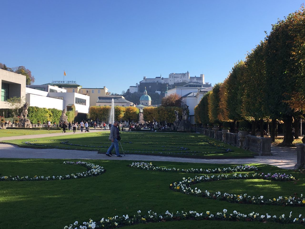 VIEW OF PARK AGAINST CLEAR SKY