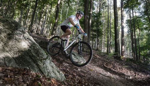 Man riding bicycle in forest