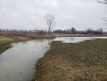 Scenic view of lake against sky during winter