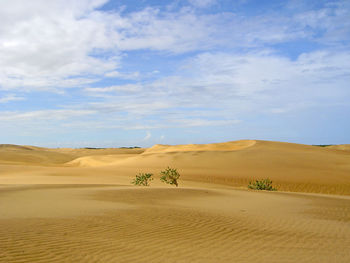 Scenic view of sand dunes at medanos de coro national park against sky