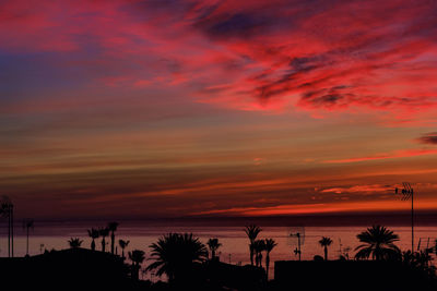 Low angle view of silhouette palm trees against dramatic sky