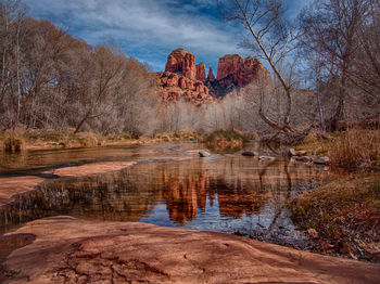 Reflection of bare trees in lake