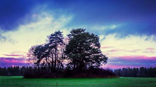 Scenic view of field against cloudy sky