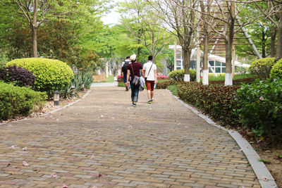 Rear view of people walking on narrow pathway along trees