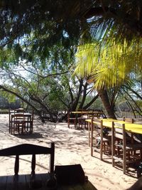 Chairs on beach against trees