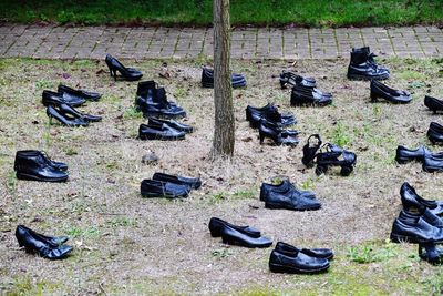 High angle view of shoes on field