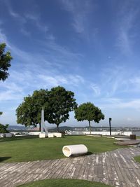 Trees in park against blue sky