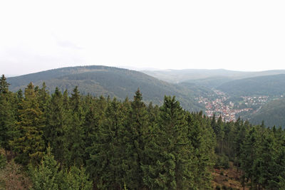 Scenic view of pine trees and mountains against sky