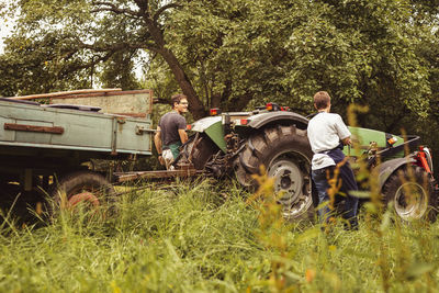 Two people with tractor during cherry harvest in orchard