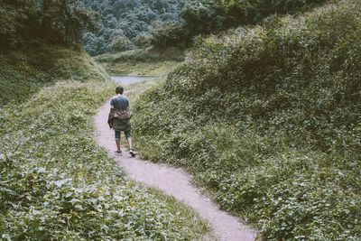 Rear view of man walking on footpath in forest