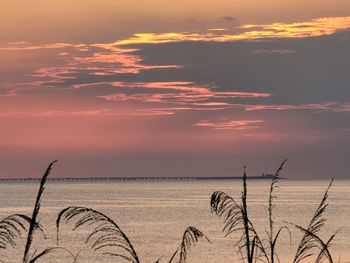 Summer sunrise over chesapeake bay