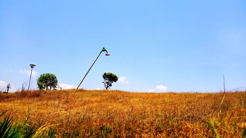 Scenic view of field against clear sky