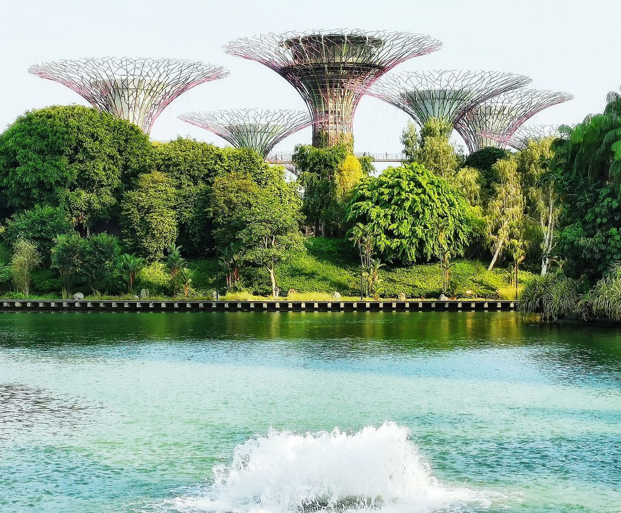 SCENIC VIEW OF LAKE AGAINST TREES