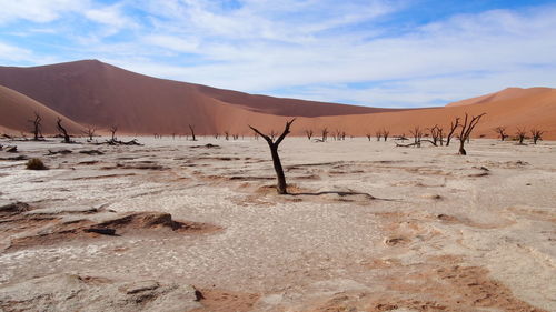 Scenic view of desert against sky