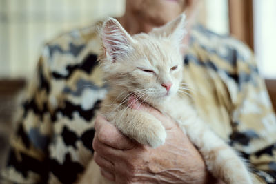 Midsection of senior woman holding cat at home