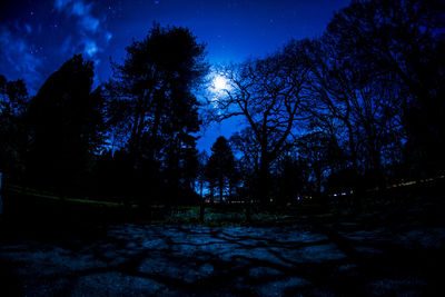 Trees on landscape against sky at night