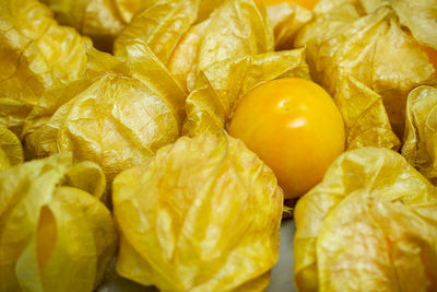 Full frame shot of fruits